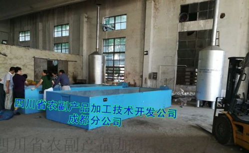 山楂干燥設(shè)備技術(shù)開發(fā) 從傳統(tǒng)晾曬到智能化小型設(shè)備的演進
