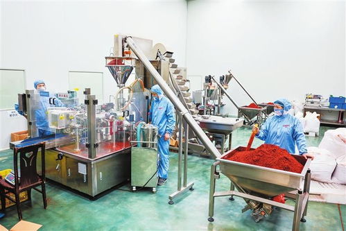 隴右名城熱潮涌動 從田間到舌尖，天水麻辣燙火爆出圈的“初級農(nóng)產(chǎn)品”密碼